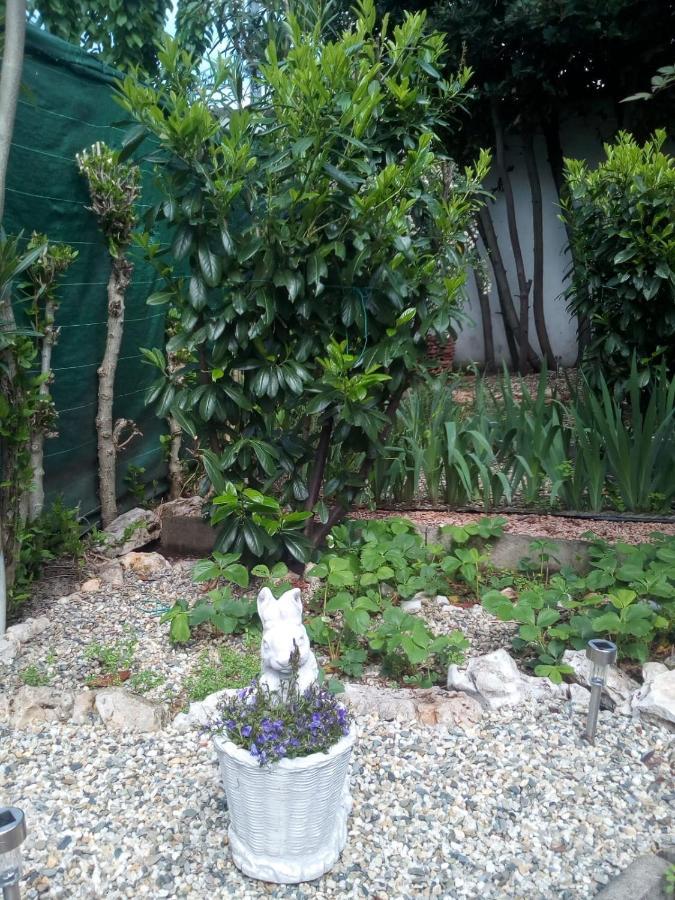 B&B Antica Corte Lombarda มอร์ตารา ภายนอก รูปภาพ