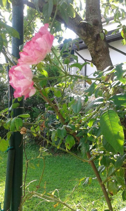 B&B Antica Corte Lombarda มอร์ตารา ภายนอก รูปภาพ
